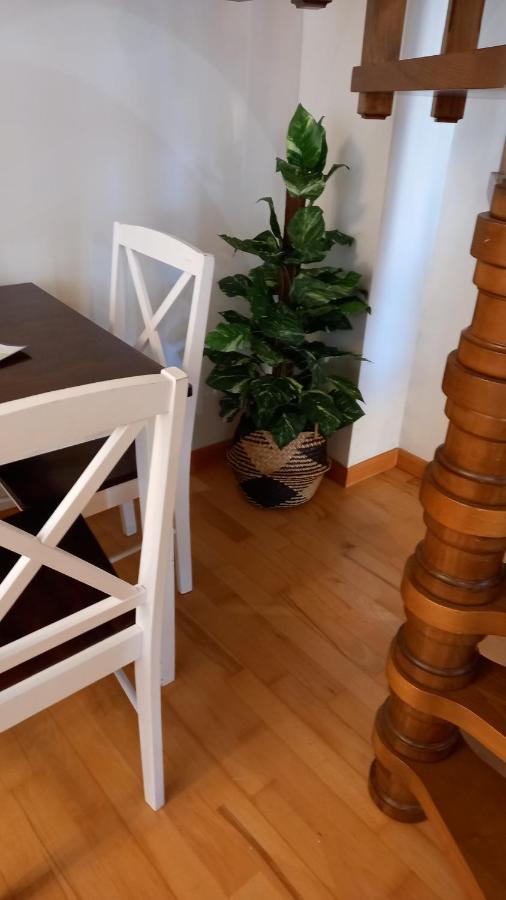 Apartment Martin Gamero